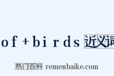 of+birds近义词是什么意思的图片